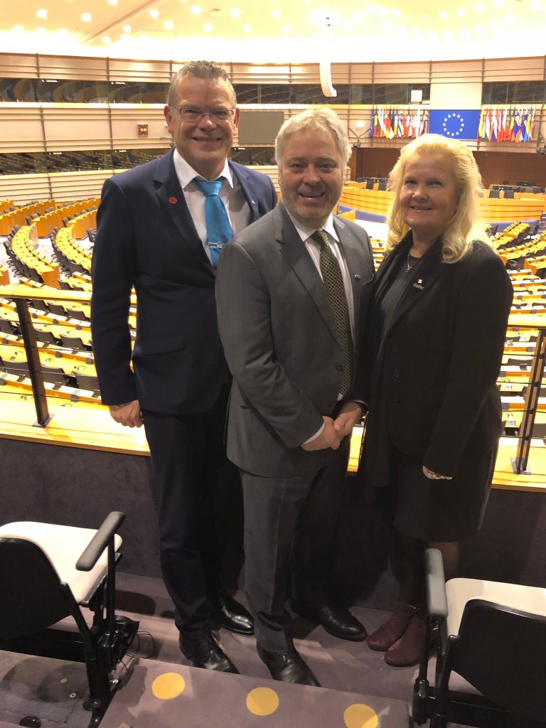 Troikaen i EU parlamentet