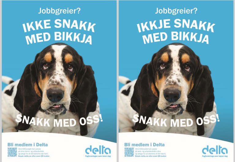 Kampanjeplakater.jpg