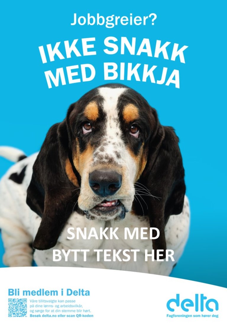 Plakat_sett inn navn_kampanje24.jpg