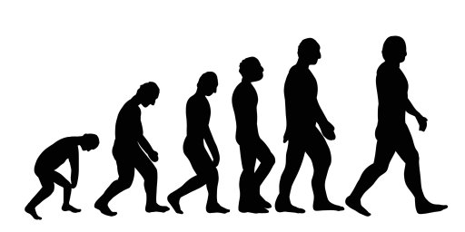 illustration image