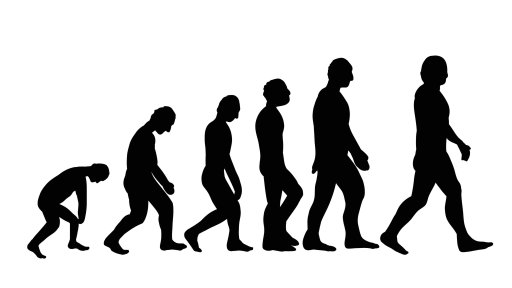 illustration image