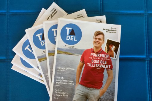 Ta del 3/2017: Det organiserte arbeidslivet