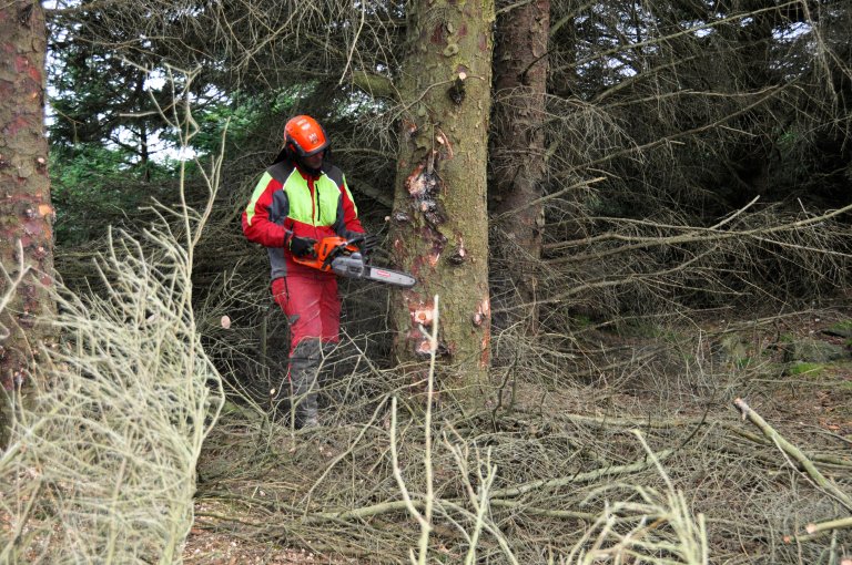Johan på jobb i skogen 2