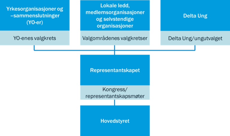 Figuren nedenfor viser Deltas medlemsdemokrati, med organisasjonsledd og arenaer for nominasjoner og valg.