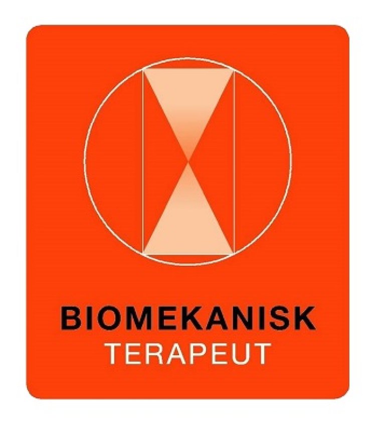 Biomekanisk terapeut logo.jpg