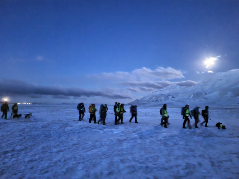 Turfølge Svalbard Hege Heimdal.jpg