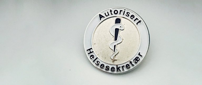 Helsesekretærforbundets autorisasjonsnål.jpg