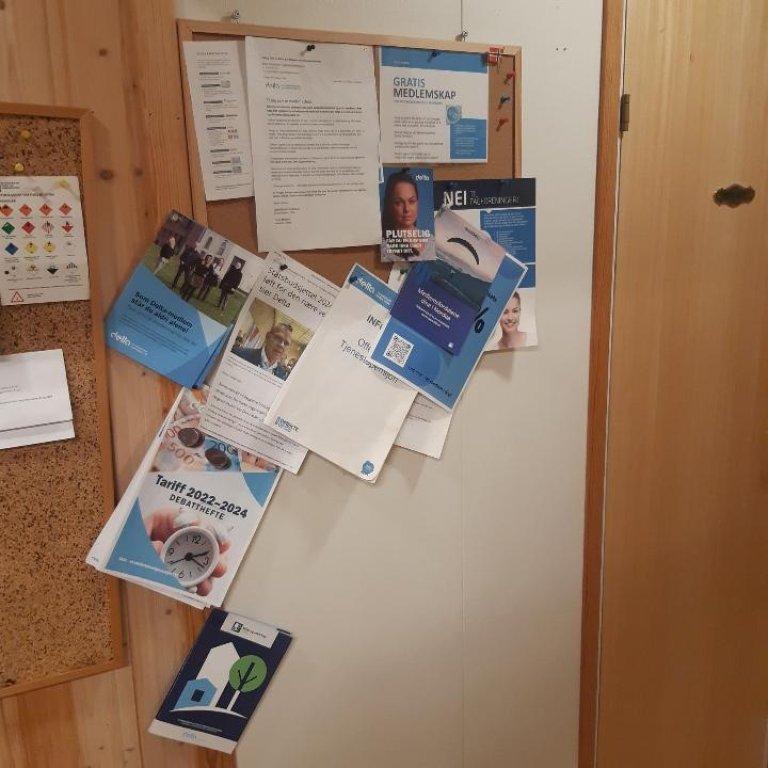 deltatavla søir.jpg